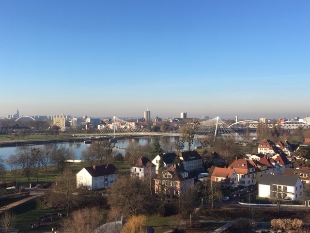 le Rhin entre Strasbourg et Kehl