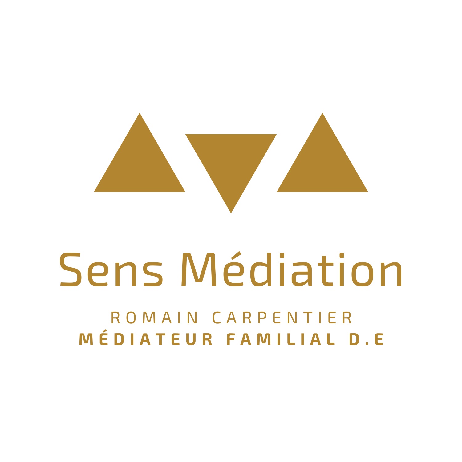 logo sens médiation.jpg