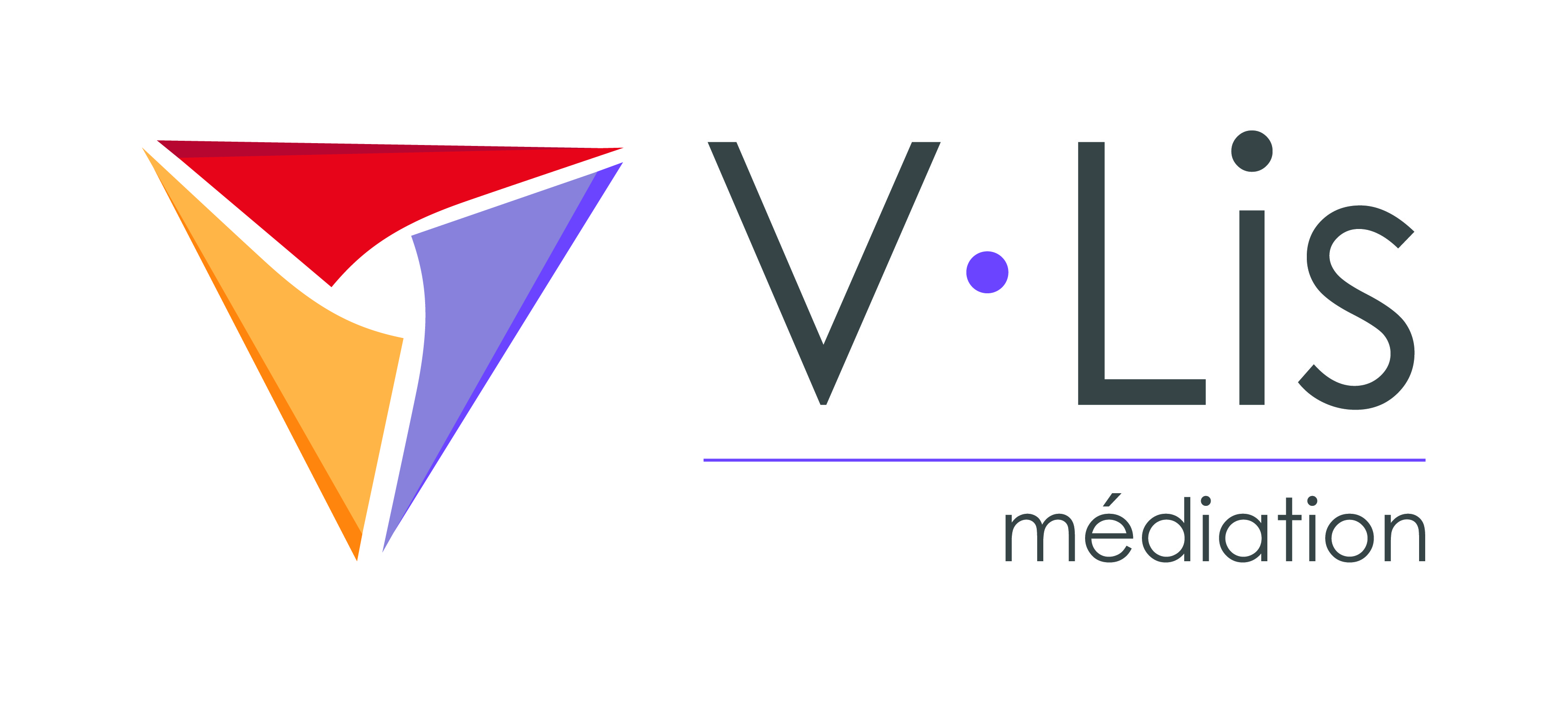 Logo VLIS Médiation 2022.jpg