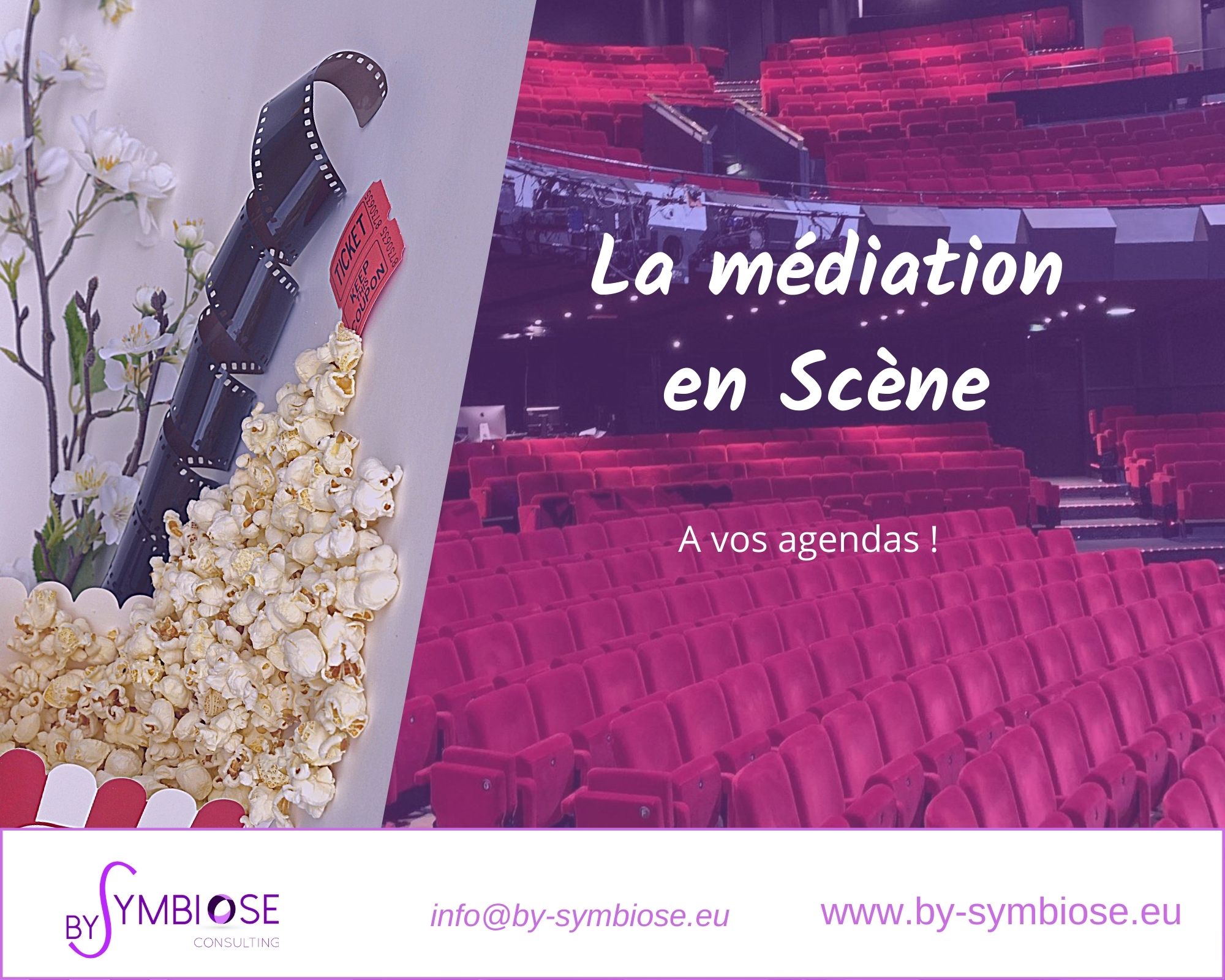 LA MEDIATION EN SCENE